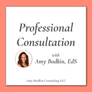Special Needs Professional Consultation with Amy Bodkin, EdS